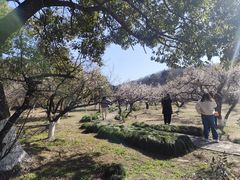 -白马涧龙池景区