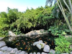 景点-青青世界