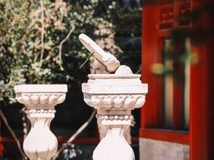 -故宫博物院(故宫)