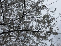 -老陆稿荐(西中市店)