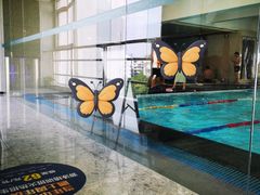 -尚成·蓝色港湾恒温游泳馆