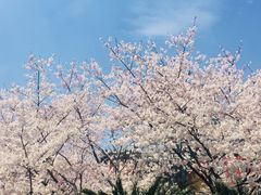 -上海体育场(地铁站)