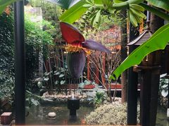 -鱼桥巷·美学川菜