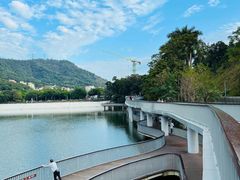 -银湖山郊野公园-相思林