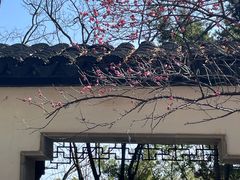 -八大山人梅湖景区