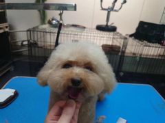 -转角宠物(转塘方家苑店)