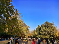 -八大关景区