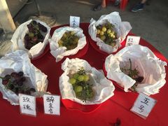 -马陆小张葡萄园农家乐