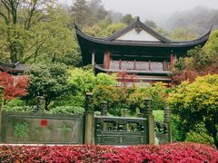 -十八棵（老龙井）御茶园(老龙井店)