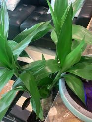 点击看大图 -永琪美容美发全国直营连锁