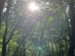 -玉渡山自然风景区