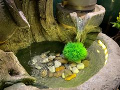 -原味田园·客家菜·土窑鸡(中航城君尚购物中心店)