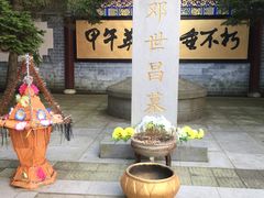 -大鹿岛