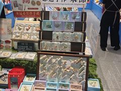 -郑州新郑国际机场-T2航站楼
