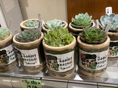 -小豆海棠(嘉兴路店)