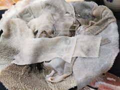 -铜元老码头鳝鱼火锅