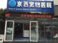 -西安京西宠物医院·瘫痪·疑难杂症