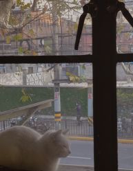 -本小姐美学·半永久纹眉野生眉