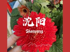-北陵公园