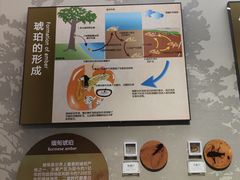-辽宁古生物博物馆