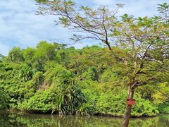 -白沙门生态公园