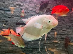 -手佳·水疗汇(嘉益店)