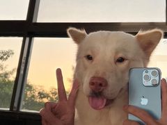 -真枪会射击俱乐部(河西中央公园店)