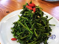 清香枸杞苗-国强手抓(北京西路店)