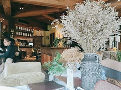 -一棵树·意大利西餐厅One Tree(新城店)
