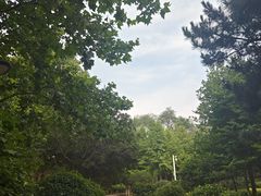 -前关湿地公园