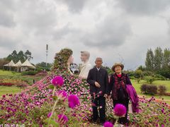 -紫颐香薰山谷景区