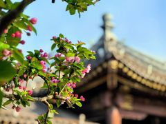 -海棠花溪(元大都城垣遗址公园)