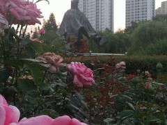 -荆川公园
