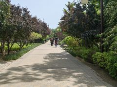 -古塔公园