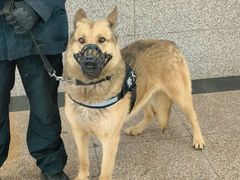 -蒲黄榆(地铁站)