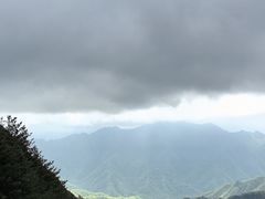-朱雀国家森林公园