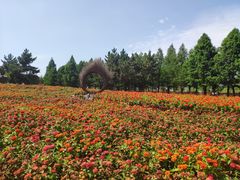 -羊亭河湿地公园