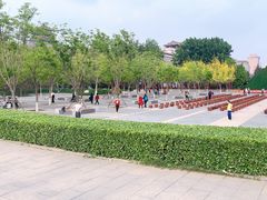 -莲花池公园