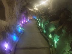 -花亭湖风景名胜区