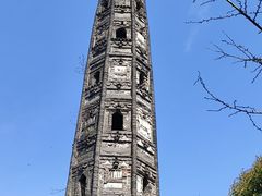 -上海佘山国家森林公园天马山园