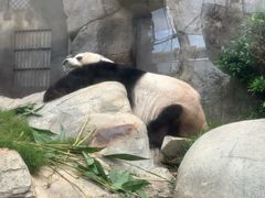 -香港海洋公园