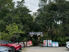 -芭厘农庄老字号·清远鸡