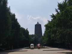 -玲珑塔公园