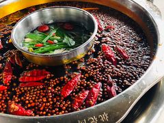 -枇杷园食为鲜火锅(南山店)