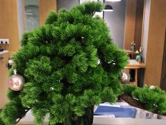 -如轩·海鲜砂锅粥·潮汕菜(南城店)