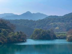 -龙坞茶村