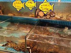 -韩记海鲜饺子旗舰店(红海新区店)