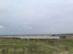 -盐城丹顶鹤湿地生态旅游区