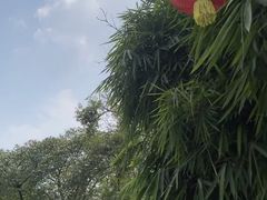 -南国桃园旅游度假区