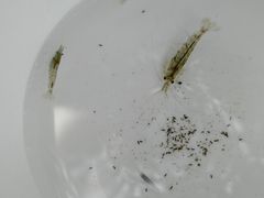 -阿哈湖国家湿地公园